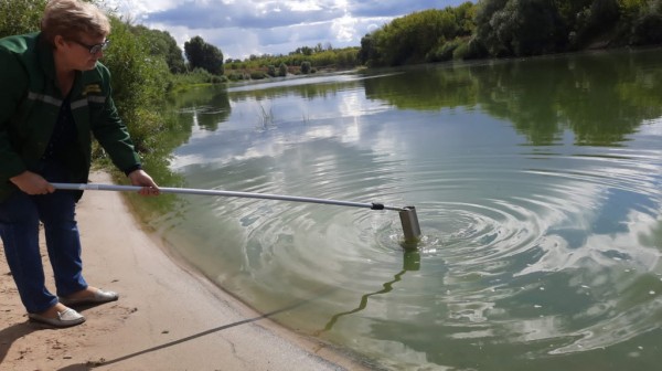 Экологи обнаружили 30 погибших рыб в реке Воронеж