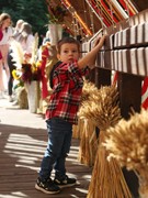 Платья петровской эпохи, авторскую живопись, цветы с каждого континента планеты, деревья с &laquo;золотыми&raquo; стволами и даже облака можно увидеть на выставке &laquo;Город &ndash; сад&raquo;