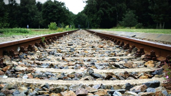 Дополнительные экскурсионные электрички в Воронежский заповедник пустят по субботам