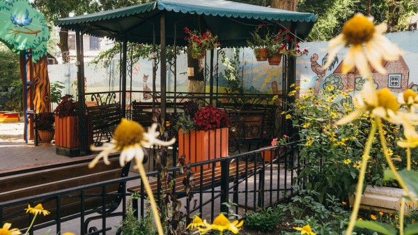 Итоги недели. Что важного произошло в Воронежской области с 6 по 12 сентября