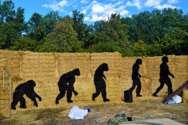 Чернокнижник, деревья-великаны и бифштексные томаты. Чем удивит воронежцев XI &laquo;Город-сад&raquo;