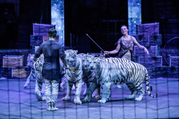 Номер с единственным в мире дрессированным носорогом покажут в Воронежском цирке