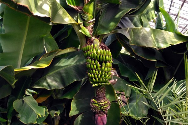 Гид РИА &laquo;Воронеж&raquo;. Чем заняться в выходные 18&ndash;19 сентября