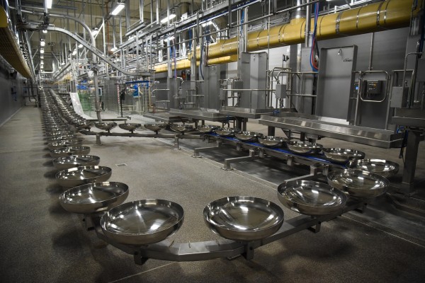 Более 2 тыс рабочих мест. В Воронежской области запустят 2 крупных агропредприятия