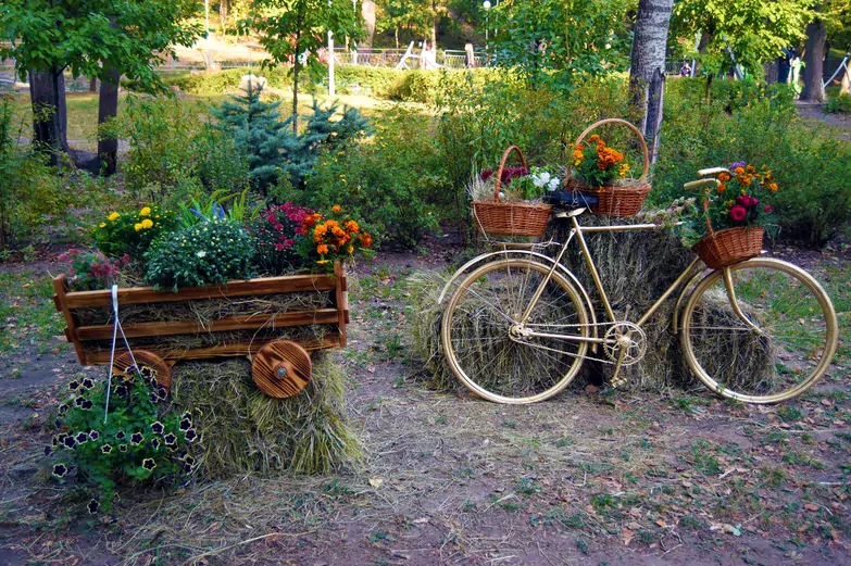 Чернокнижник, деревья-великаны и бифштексные томаты. Чем удивит воронежцев XI &laquo;Город-сад&raquo;