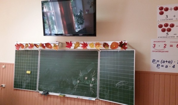 В Воронежской области в 11 школах из-за гриппа и ОРВИ закрыли 27 классов