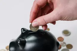 Прожиточный минимум в Воронежской области вырос на 411 рублей