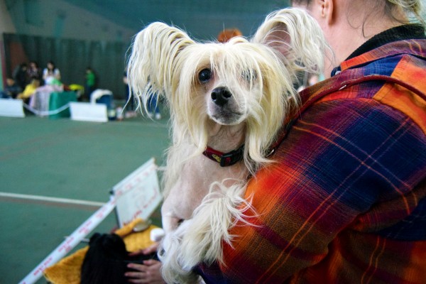 Гид РИА &laquo;Воронеж&raquo;. Чем заняться в выходные 11&ndash;12 сентября