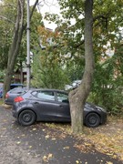 Сотни воронежских автовладельцев могут уже в ближайшее время получить штрафы за парковку на озелененных территориях