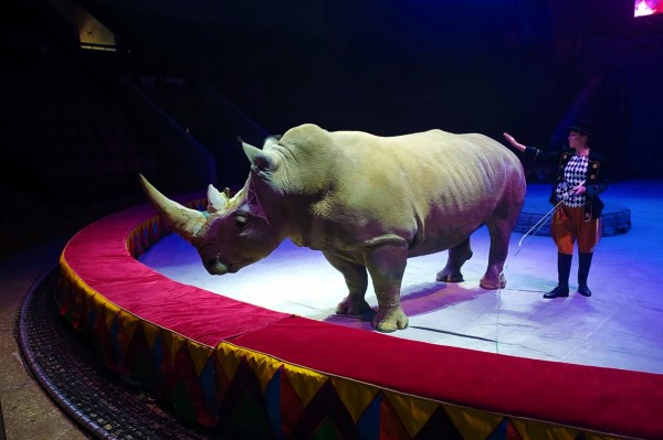 Гид РИА &laquo;Воронеж&raquo;. Чем заняться в выходные 18&ndash;19 сентября