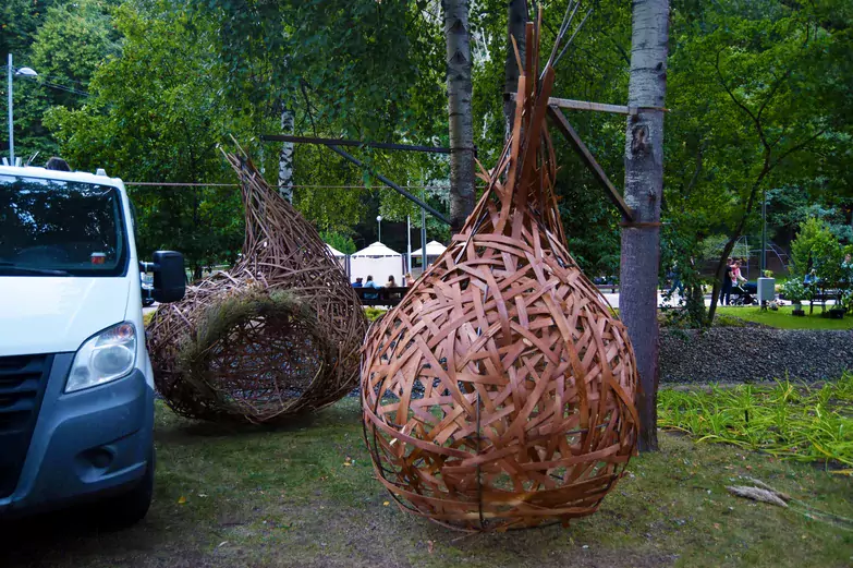 Чернокнижник, деревья-великаны и бифштексные томаты. Чем удивит воронежцев XI &laquo;Город-сад&raquo;