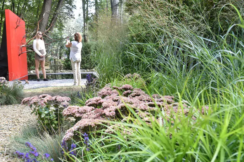 На &laquo;Городе-саде&raquo; воронежцам показали взлетающий дом и мост-хижину