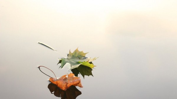 Коммунальщики пообещали не допустить проблем на старте отопительного сезона в Воронеже