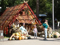 Платья петровской эпохи, авторскую живопись, цветы с каждого континента планеты, деревья с &laquo;золотыми&raquo; стволами и даже облака можно увидеть на выставке &laquo;Город &ndash; сад&raquo;
