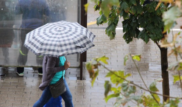 В Воронеже на ближайших выходных похолодает до +8 градусов и пройдут дожди