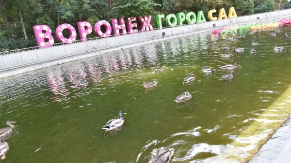 На &laquo;Городе-саде&raquo; воронежцам показали взлетающий дом и мост-хижину