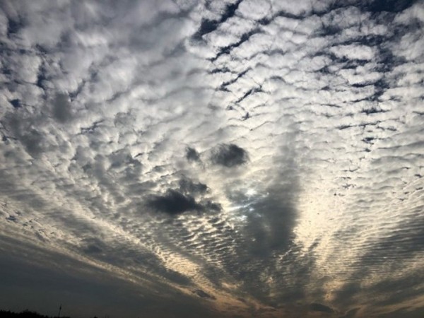 Воронежцев сегодня порадовало редкое явление - перисто-кучевые облака