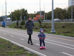 Высадка 473 деревьев завершит масштабный проект по реконструкции улицы Острогожской