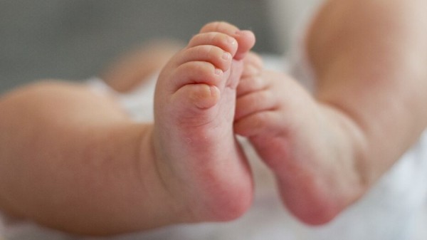 С начала года воронежские семьи получили 775 млн рублей в качестве выплат на 3-го ребенка