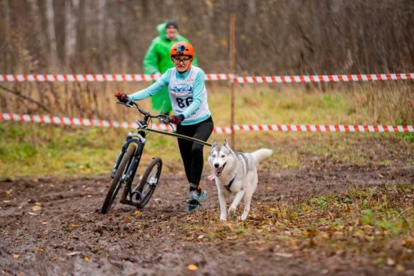 Воронежец победил в чемпионате России по собакатству