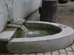 В Воронежском центральном парке завершились работы по оздоровлению водоема