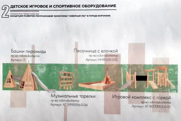 По указанию губернатора благоустройство Северного леса в Воронеже пройдет с минимальным вмешательством в экосистему