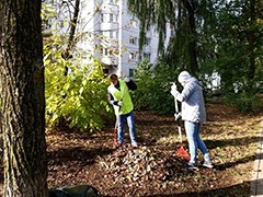 В районах города проходят субботники