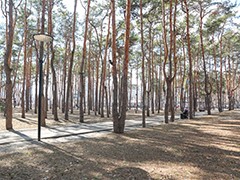 Мэр Вадим Кстенин: у горожан есть возможность выбрать общественные пространства для первоочередного благоустройства в 2022 году