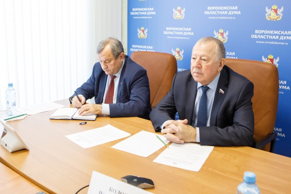 На поддержку театров и концертных залов Воронежской области направят 15 млн рублей