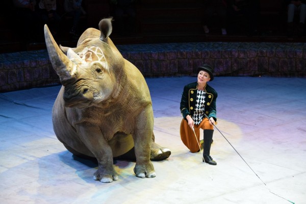 &laquo;Поцелуй с тигром&raquo;. Каким ноу-хау в дрессуре хищников удивят зрителей в Воронежском цирке