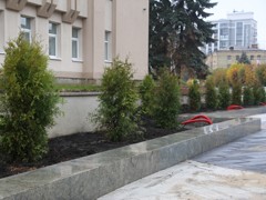 Благоустройство сквера имени Куцыгина завершат высадкой 15-ти елей
