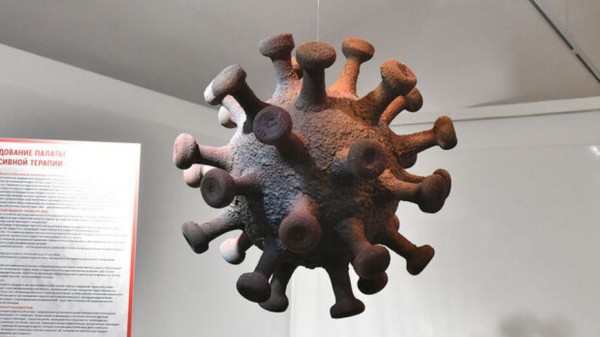 Во время пандемии в Воронежской области от коронавируса умерли 6 детей