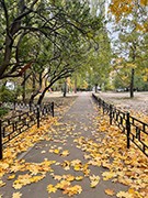 В Воронеже завершается очередной этап программы благоустройства дворов