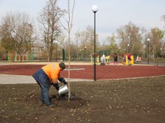 В благоустроенном парке &laquo;Мостозавода&raquo; высадили липы, рябины, клены и ели