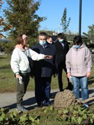 В парке Патриотов высадили клены и липы