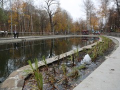 В Воронежском центральном парке завершились работы по оздоровлению водоема