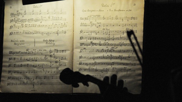 Для концертов &laquo;Воронежской камераты&raquo; изменили места проведения