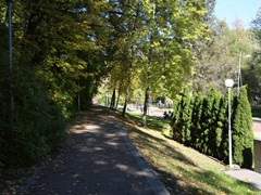 В воронежских парках и скверах продолжаются работы по благоустройству