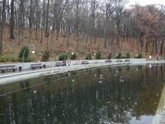 В Воронежском центральном парке завершились работы по оздоровлению водоема