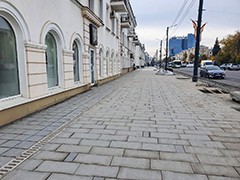 Сегодня на проспекте Революции провели выездное совещание перед грядущим озеленением