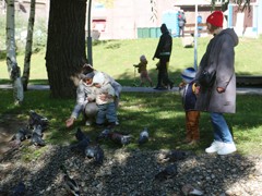 В воронежских парках и скверах продолжаются работы по благоустройству