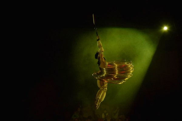 &laquo;Поцелуй с тигром&raquo;. Каким ноу-хау в дрессуре хищников удивят зрителей в Воронежском цирке