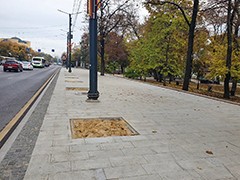 Сегодня на проспекте Революции провели выездное совещание перед грядущим озеленением