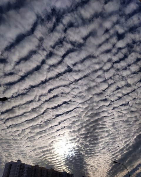 Воронежцев сегодня порадовало редкое явление - перисто-кучевые облака