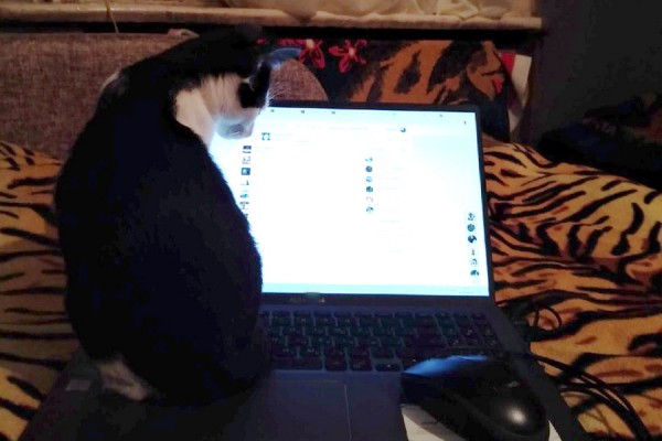 Обзор РИА &laquo;Воронеж&raquo;. Какие законы вступают в силу в октябре-2021