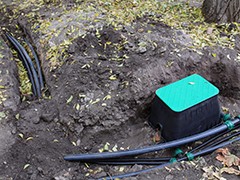 На территории Литературного бульвара завершается монтаж автополива и высадка растений