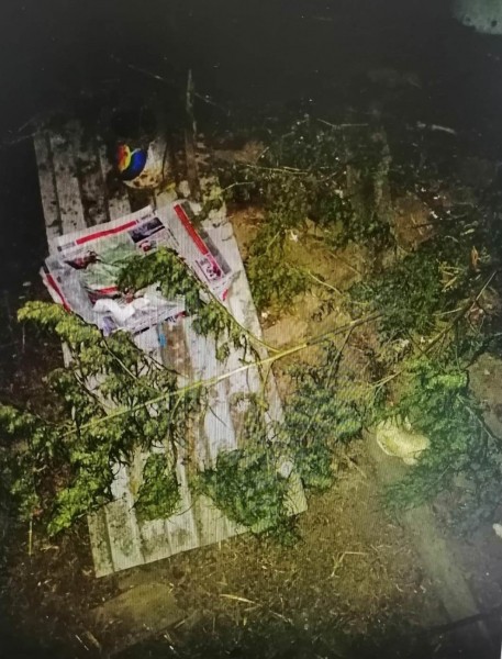 У воронежца на чердаке дома нашли 1,4 кг марихуаны и приспособления для её употребления