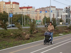 Высадка 473 деревьев завершит масштабный проект по реконструкции улицы Острогожской