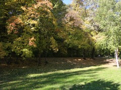 В воронежских парках и скверах продолжаются работы по благоустройству