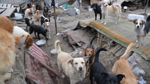 Итоги недели. Что важного произошло в Воронежской области с 18 по 24 октября